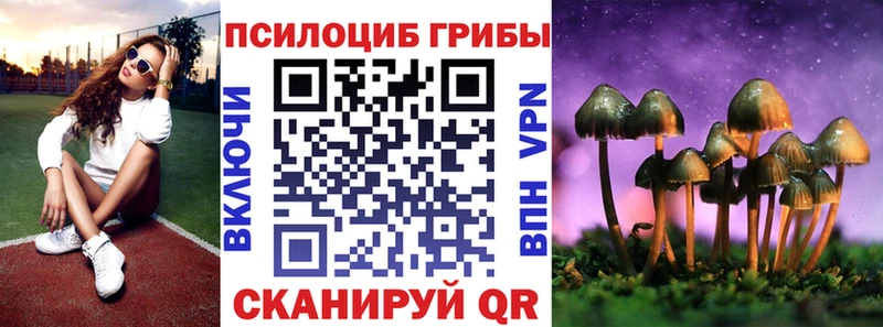 Купить  Грязи  Галлюциногенные грибы GOLDEN TEACHER 